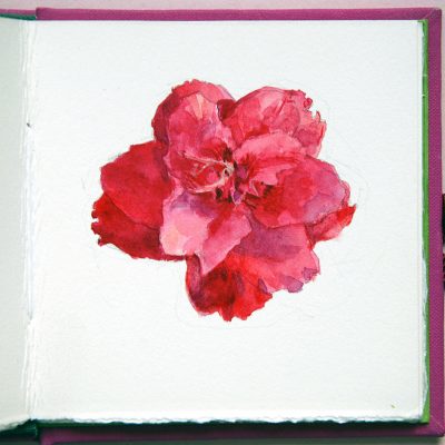 Libro fuxia, Flores, 2013-14. Acuarela sobre papel, 10 x 10 cm